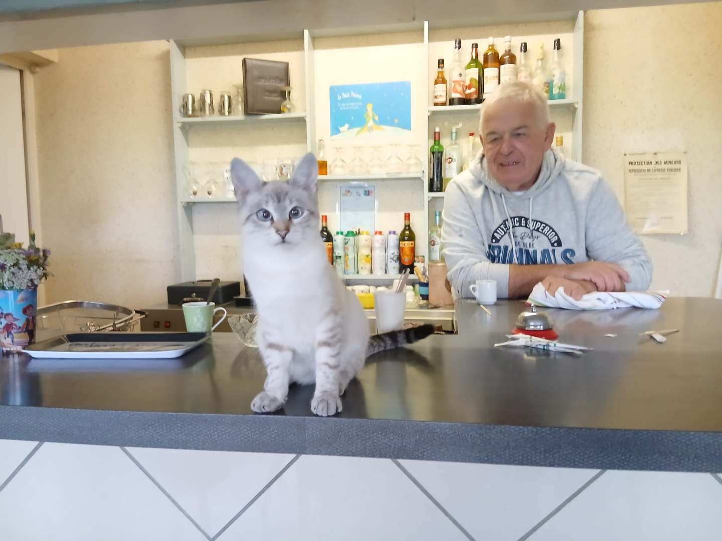 Voltige et Yves, compagnons d’accueil